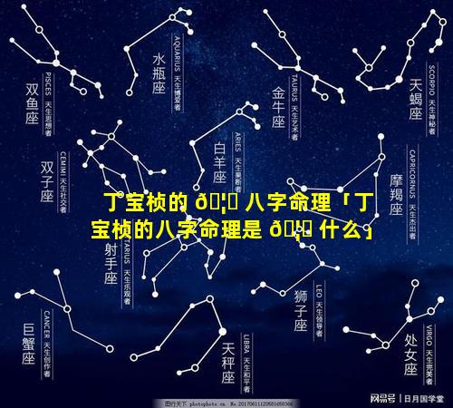 丁宝桢的 🦊 八字命理「丁宝桢的八字命理是 🦍 什么」